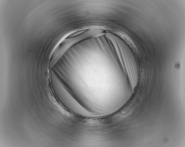 X0000089950852200707201923