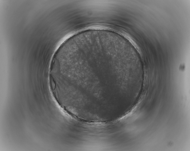 X0000089950853200707201923