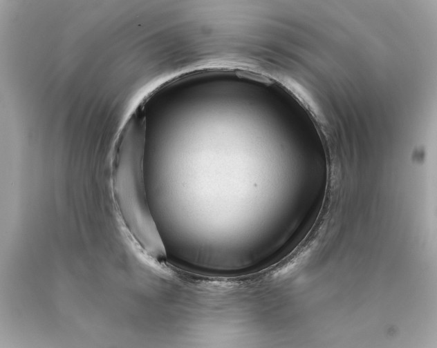 X0000089950854200707201923