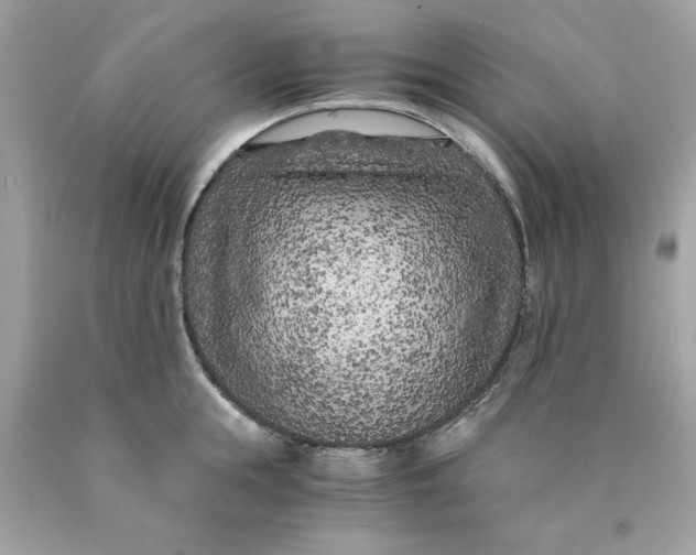 X0000089950855200707201923