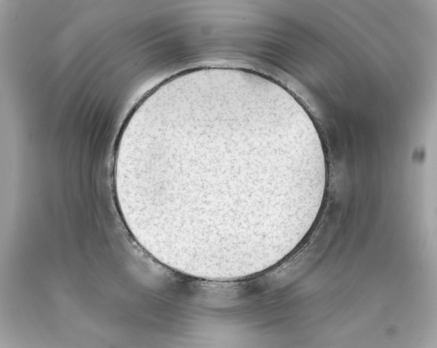 X0000089950856200707201924