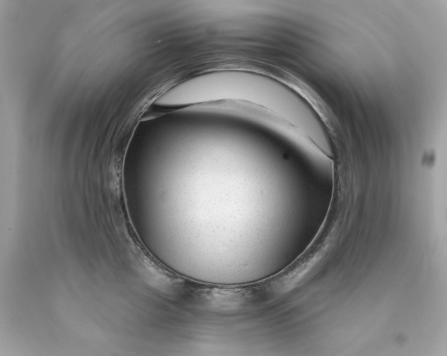 X0000089950857200707201924