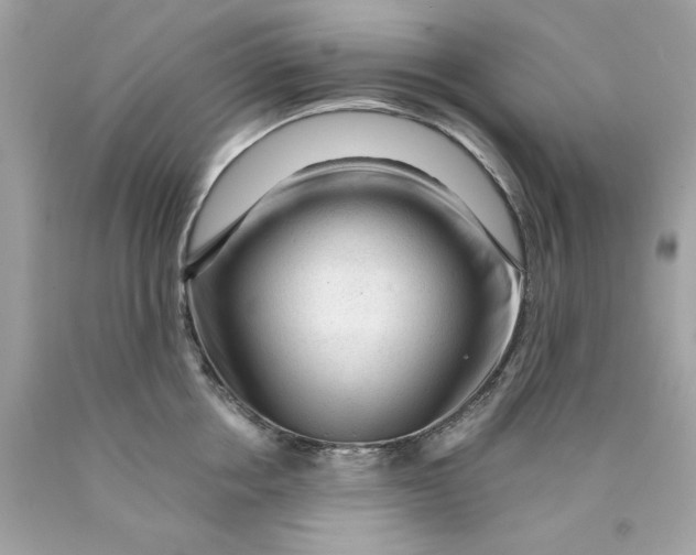 X0000089950858200707201924