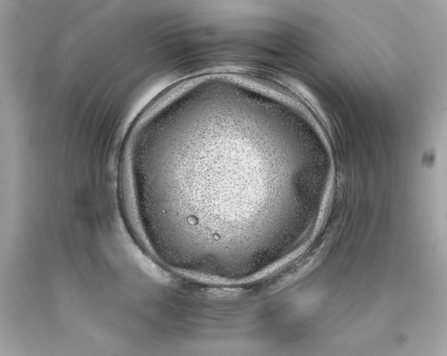 X0000089950859200707201924