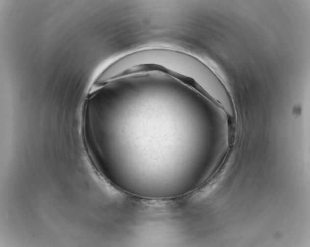 X0000089950862200707201924