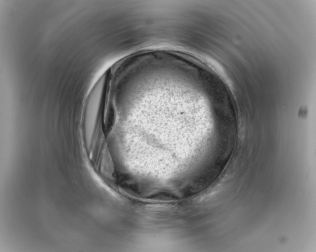 X0000089950863200707201924