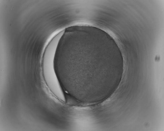 X0000089950864200707201924