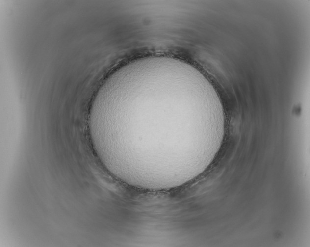 X0000089950865200707201923