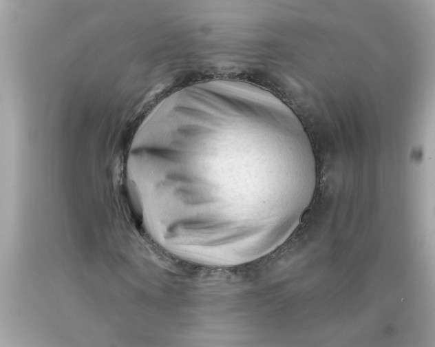 X0000089950866200707201923