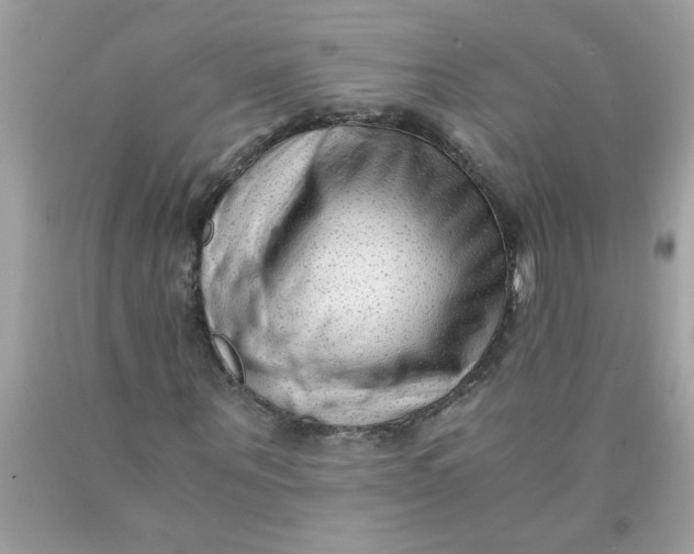 X0000089950867200707201923