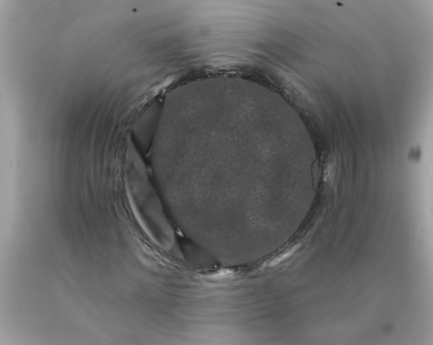 X0000089950868200707201923