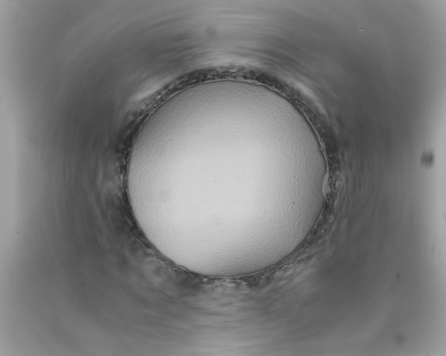 X0000089950869200707201923