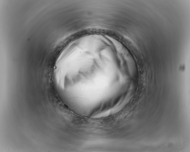 X0000089950870200707201923