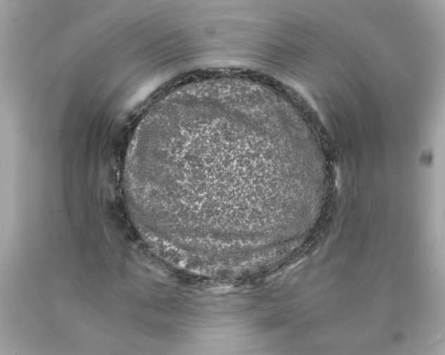 X0000089950871200707201923