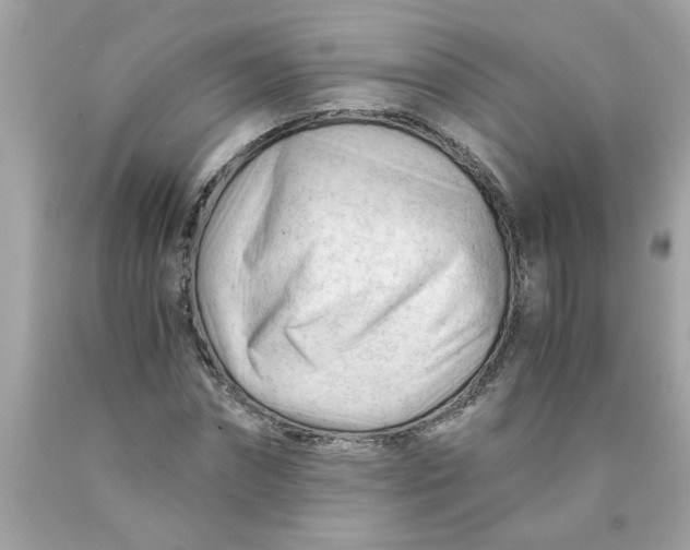 X0000089950874200707201923