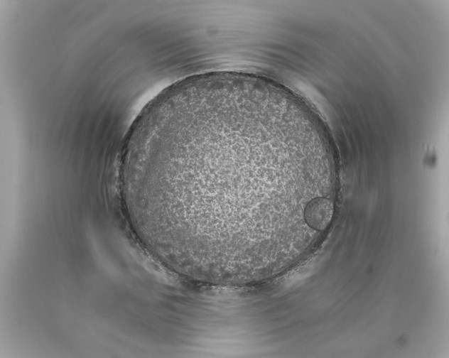 X0000089950875200707201923