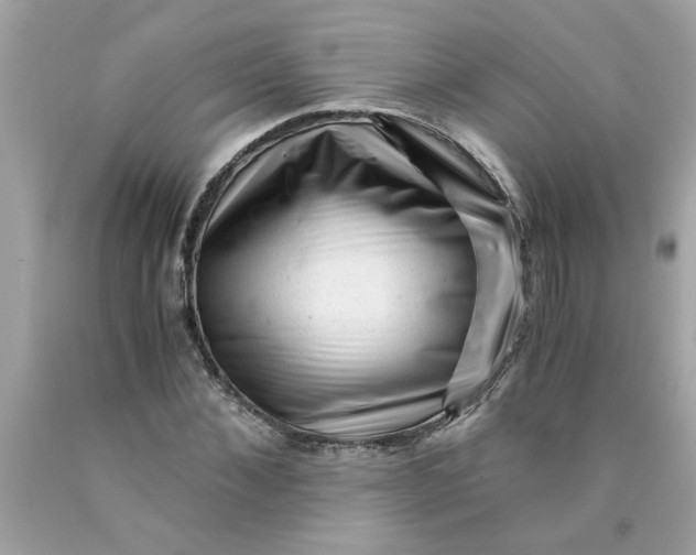 X0000089950876200707201923