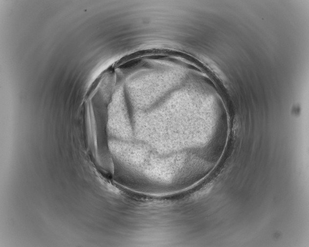 X0000089950877200707201923