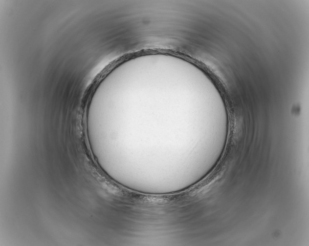 X0000089950878200707201923