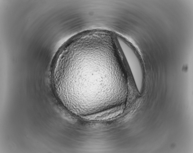 X0000089950879200707201923