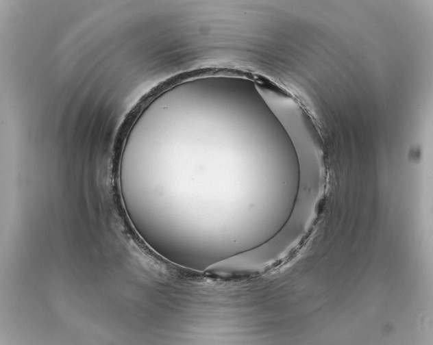 X0000089950880200707201923