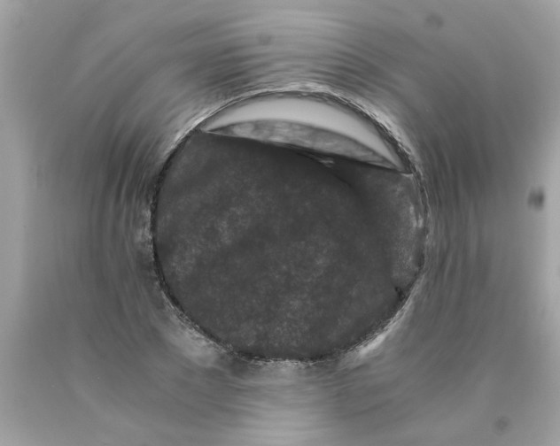 X0000089950881200707201923