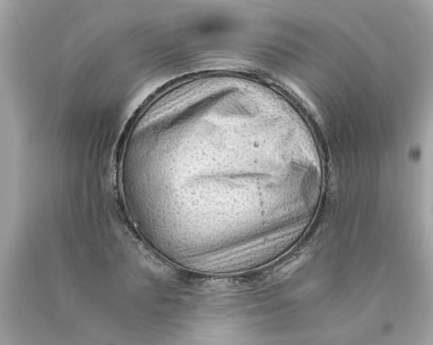 X0000089950883200707201923