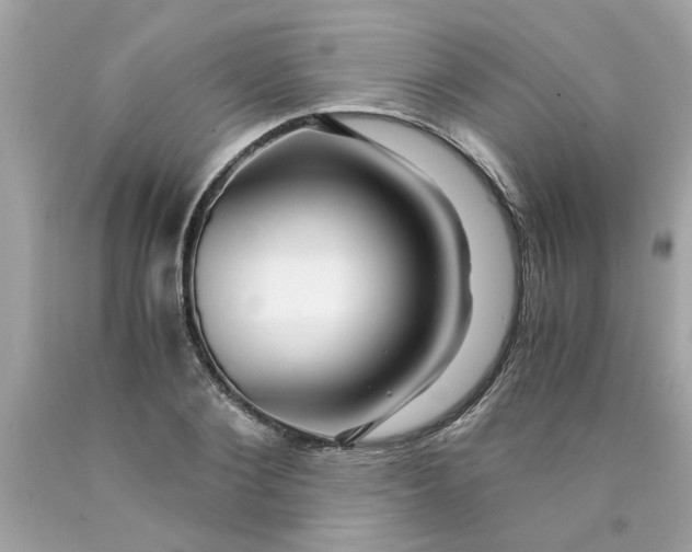 X0000089950884200707201923