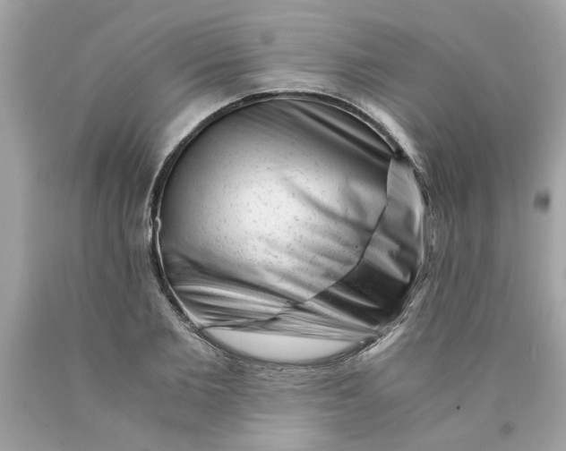 X0000089950885200707201923