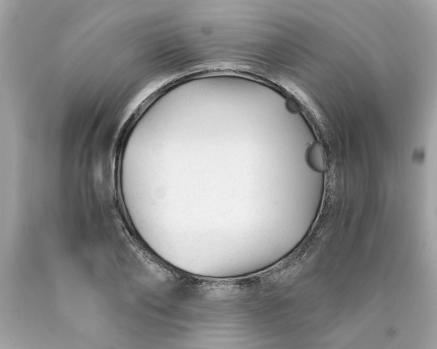 X0000089950886200707201923