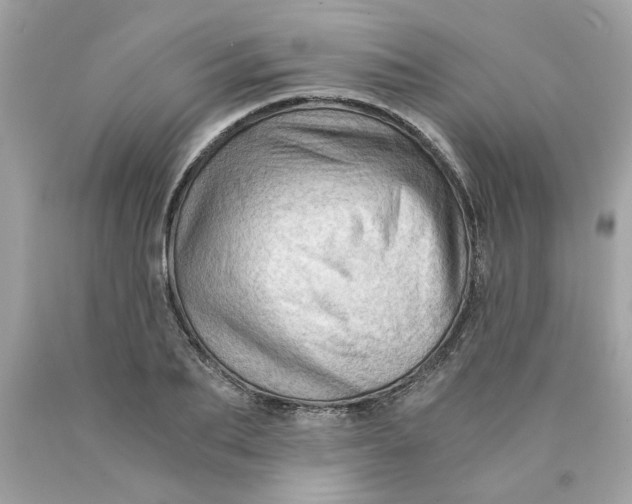 X0000089950887200707201923