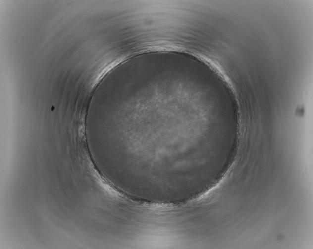 X0000089950889200707201923