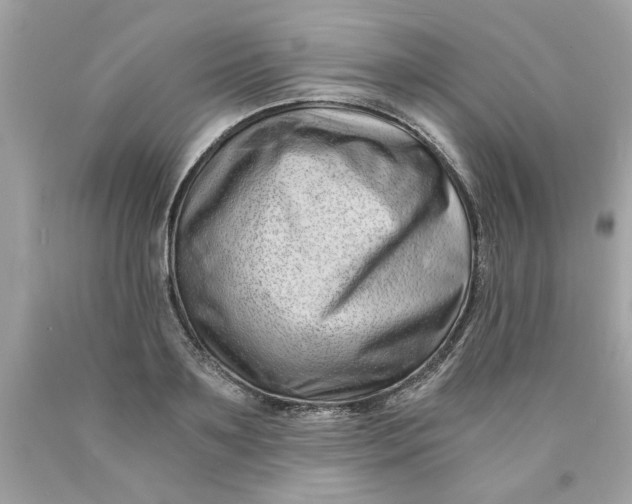 X0000089950891200707201923