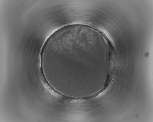 X0000089950892200707201923