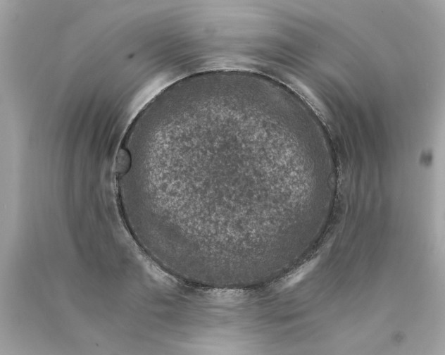 X0000089950893200707201923