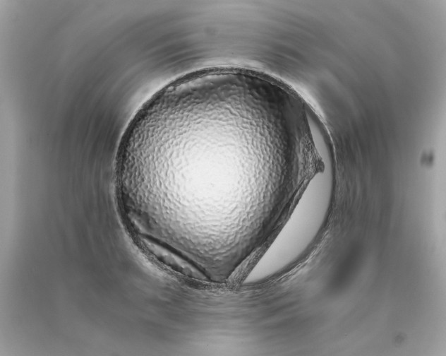 X0000089950895200707201923