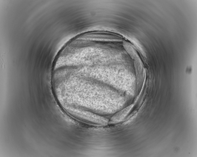 X0000089950896200707201923