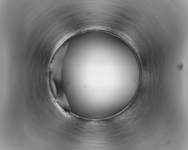 X0000089950898200707201922