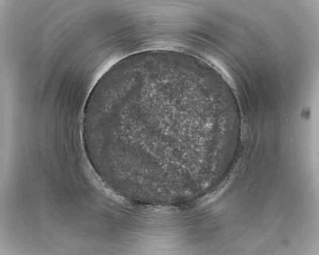 X0000089950899200707201922