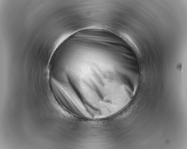 X0000089950900200707201922