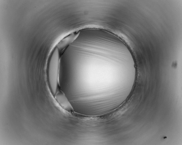 X0000089950902200707201922