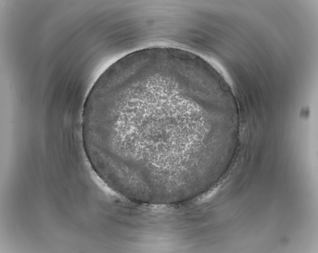 X0000089950903200707201922