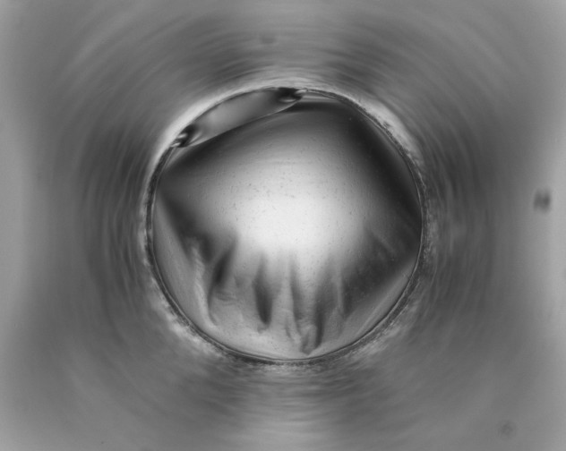 X0000089950904200707201922