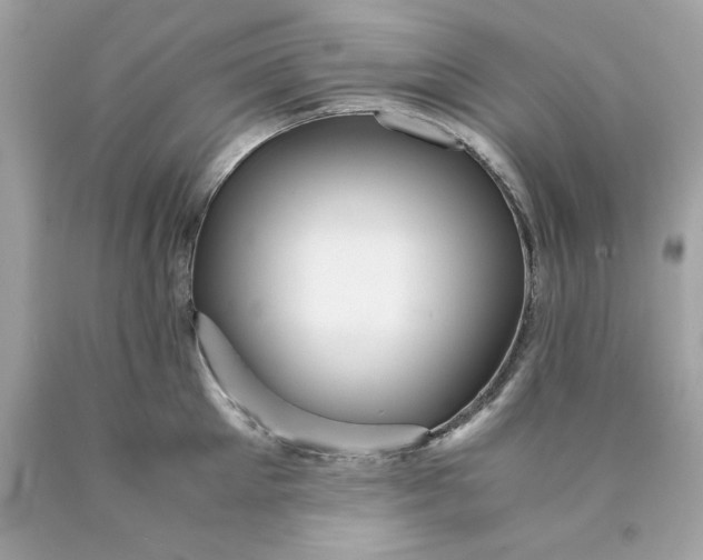 X0000089950905200707201922