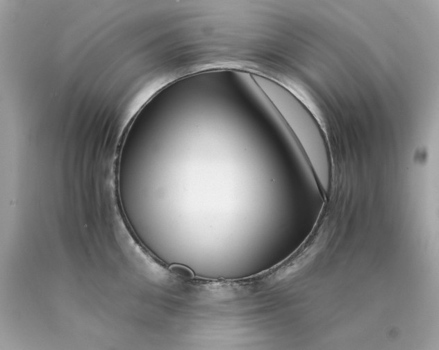 X0000089950906200707201922