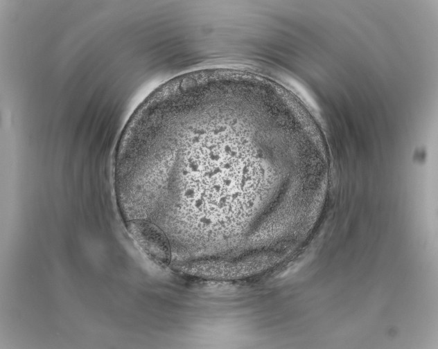 X0000089950907200707201922