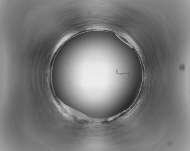 X0000089950909200707201922