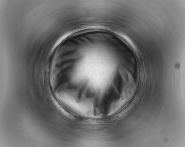 X0000089950910200707201922