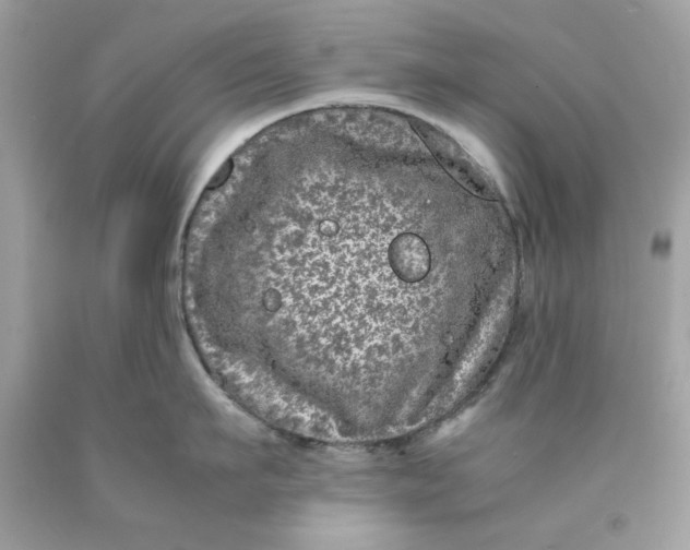 X0000089950911200707201922