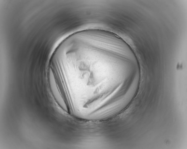 X0000089950912200707201922